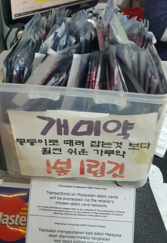 말레이시아 한달살기,말레이시아 개미약 이미지 1