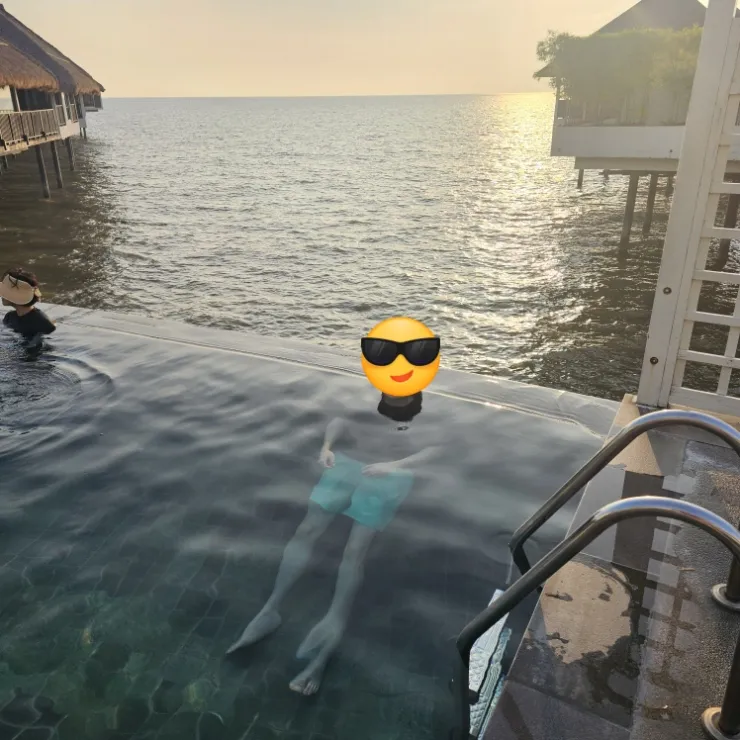 아들이 전해온 소식~ 이미지 1
