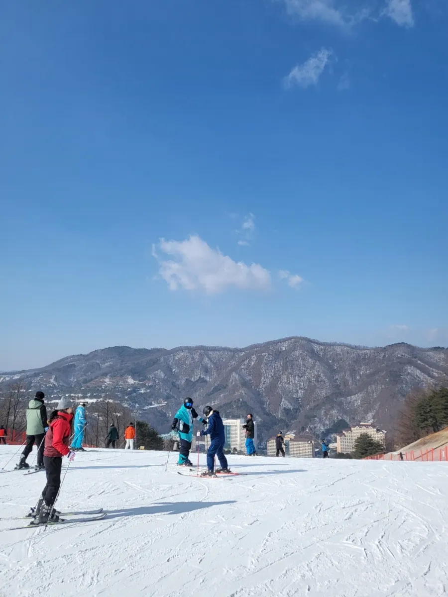 홍콩과기대 아들이 보내온 사진 이미지 1