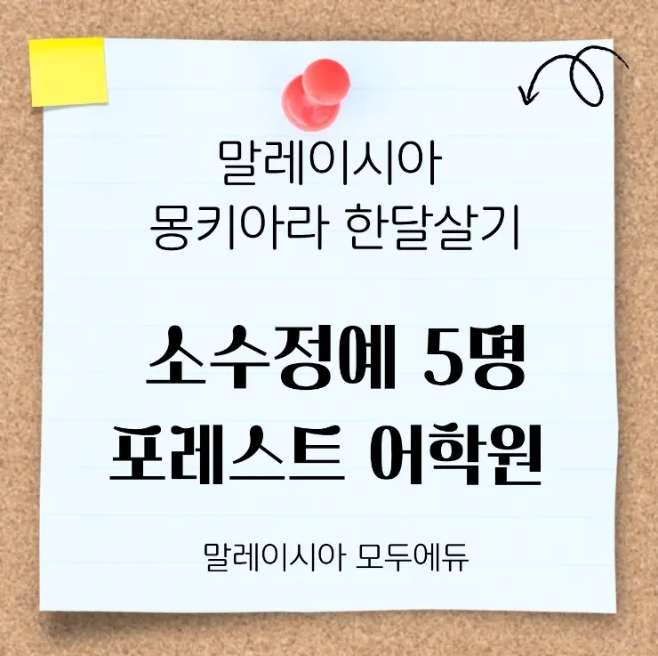 말레이시아 한달살기/몽키아라 한달살기/소수정예 5명정원💕 포레스트 어학원 소개 이미지 1