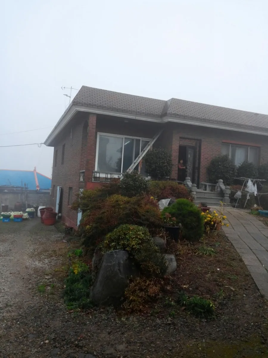 한국 김장철이 되니 그리움이 커져가네요 이미지 1