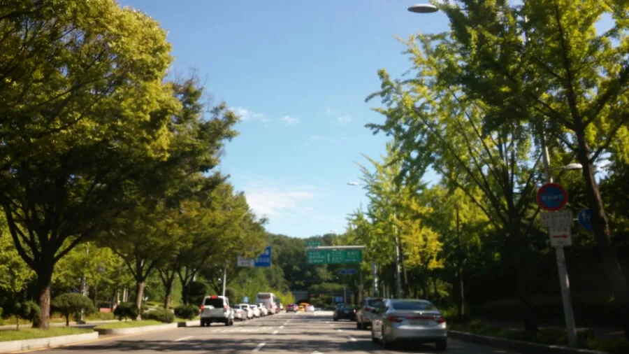 여름방학캠프 끝나고 다시 시작~ 이미지 1