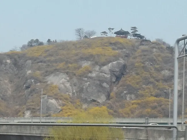 한국방문-봄 꽃 만발 이미지 1