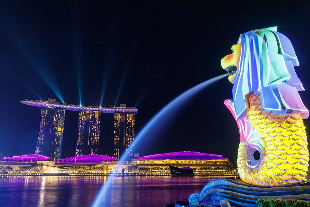 © jangus231, 출처 Unsplash