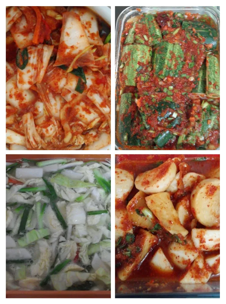 말레이시아음식-집밥편:여러가지 김치담그기 이미지 1