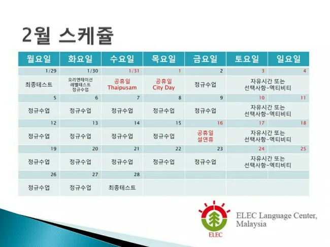 elec 1 월 영어캠프 종료 이미지 2
