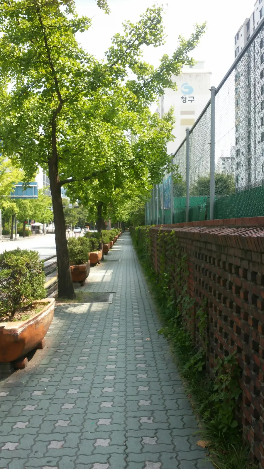 한국의 사소한 골목길도 정답다 ㅎㅎ