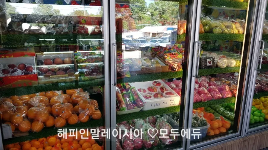 1월캠프 손님들 모시고 슬라양 과일가게 가기 이미지 2