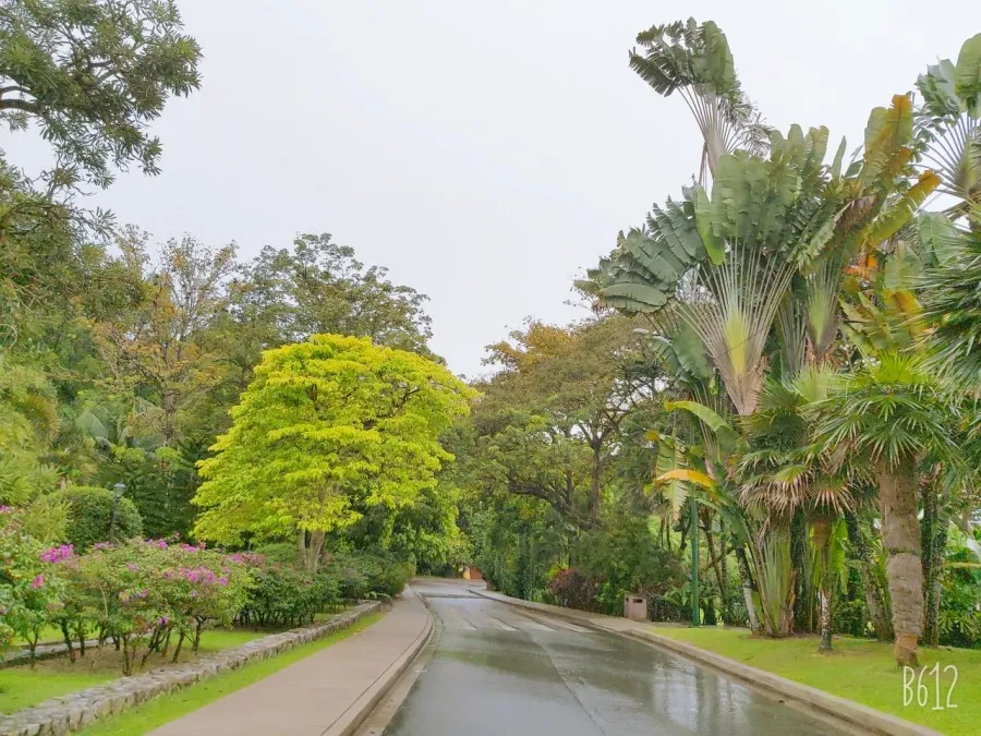 쿠알라룸푸르 공원-Perdana Botanical Gardens 산책 이미지 2