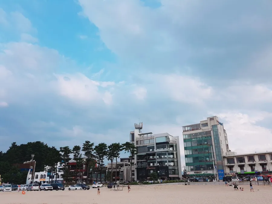쿠알라룸푸르로 귀환 이미지 3