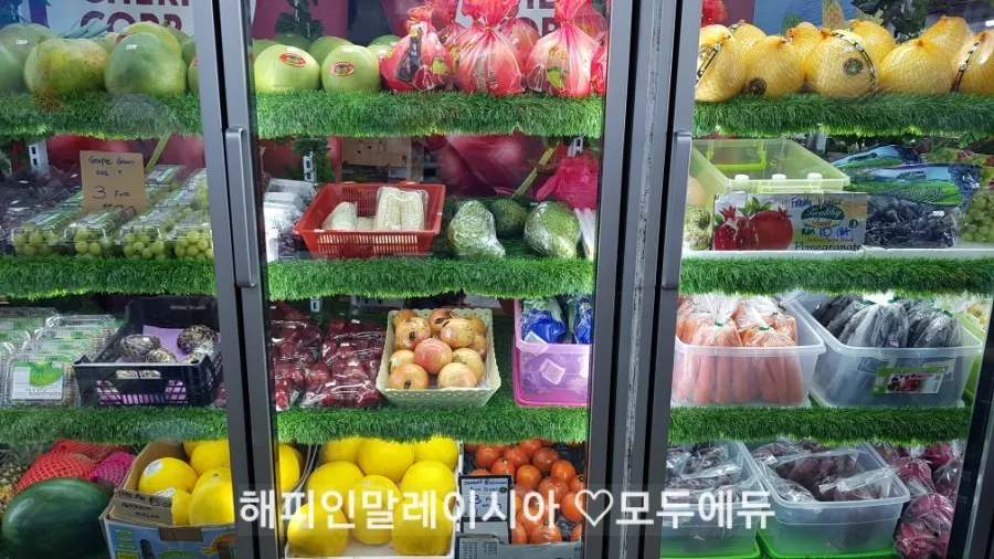 1월캠프 손님들 모시고 슬라양 과일가게 가기 이미지 3