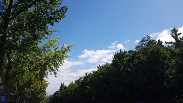 한국 방문 마지막 날을 보내며~ 이미지 3