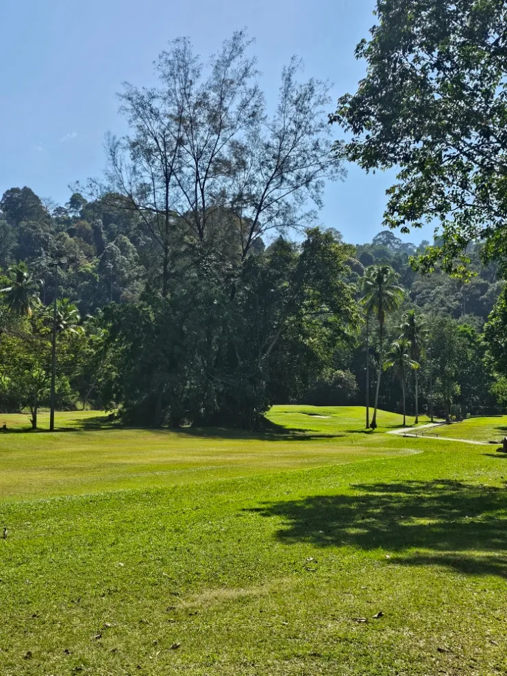 한가한 다울렛산 골프장⛳️ 이미지 3