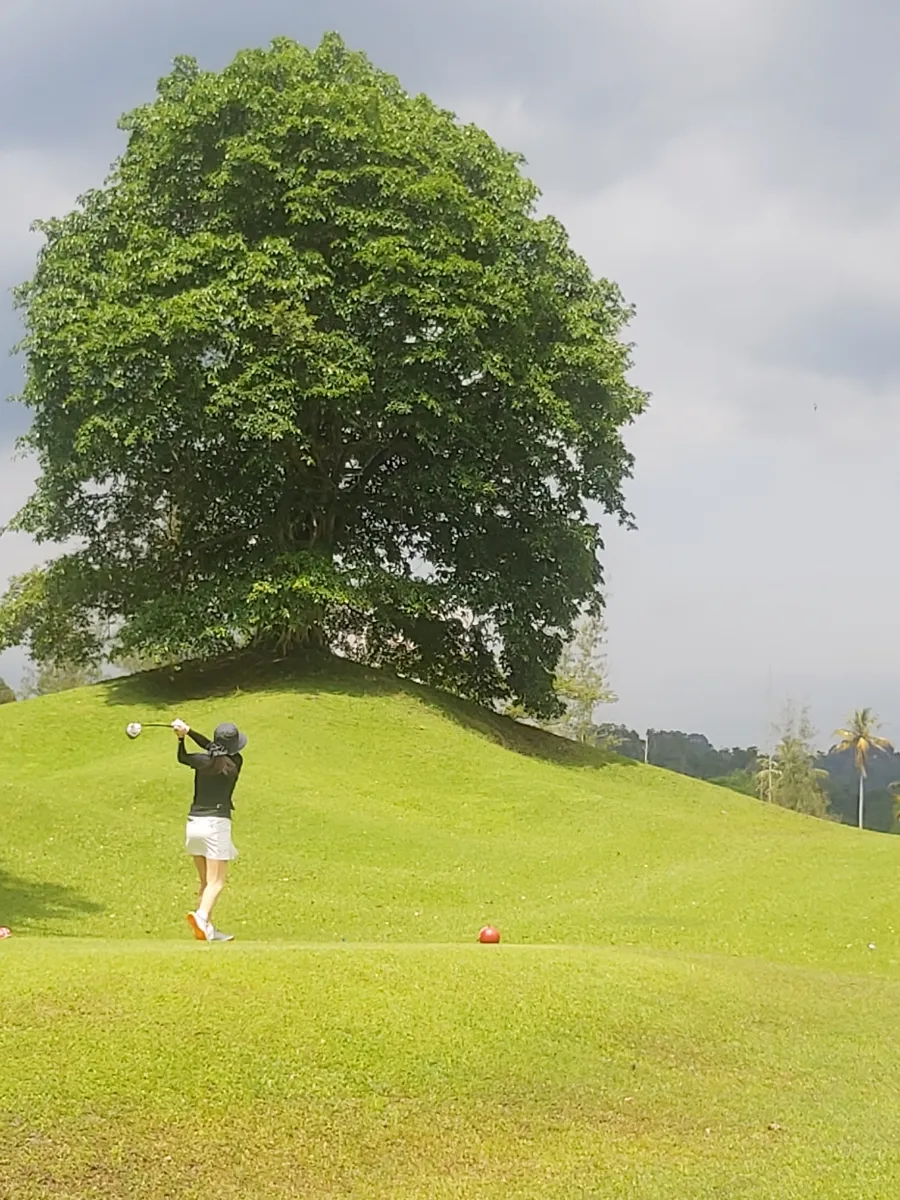 Templer Park 골프장 이미지 3