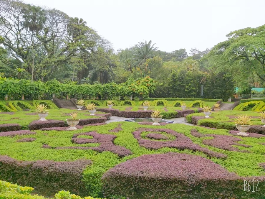쿠알라룸푸르 공원-Perdana Botanical Gardens 산책 이미지 3