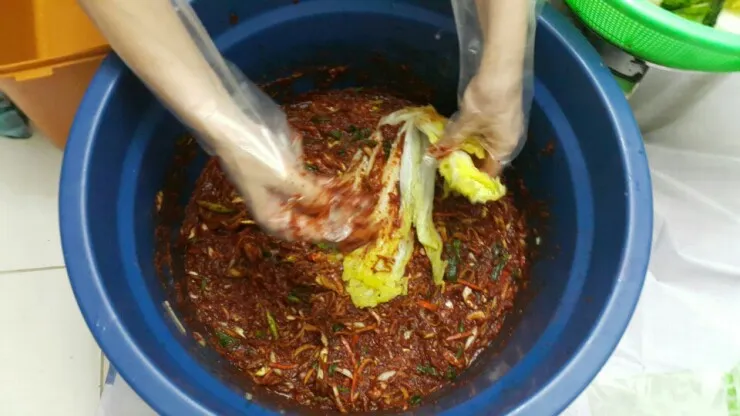 말레이시아 집밥-배추 김치 담그기 이미지 3