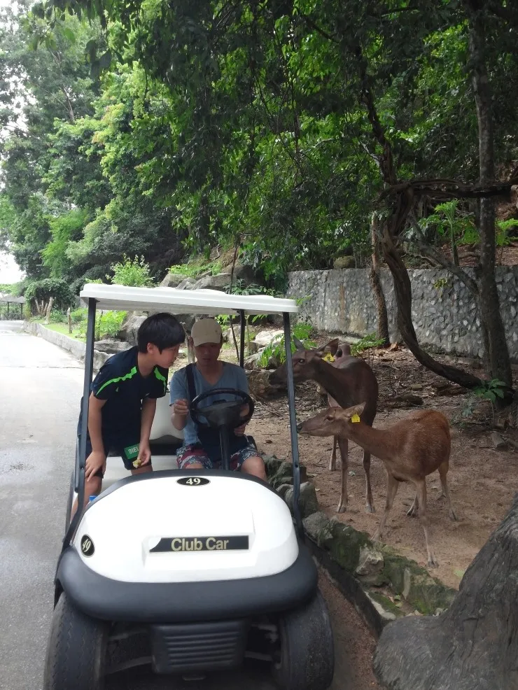 2014.07 Khao Kheow Open Zoo 카오 키여우 오픈 주 이미지 2