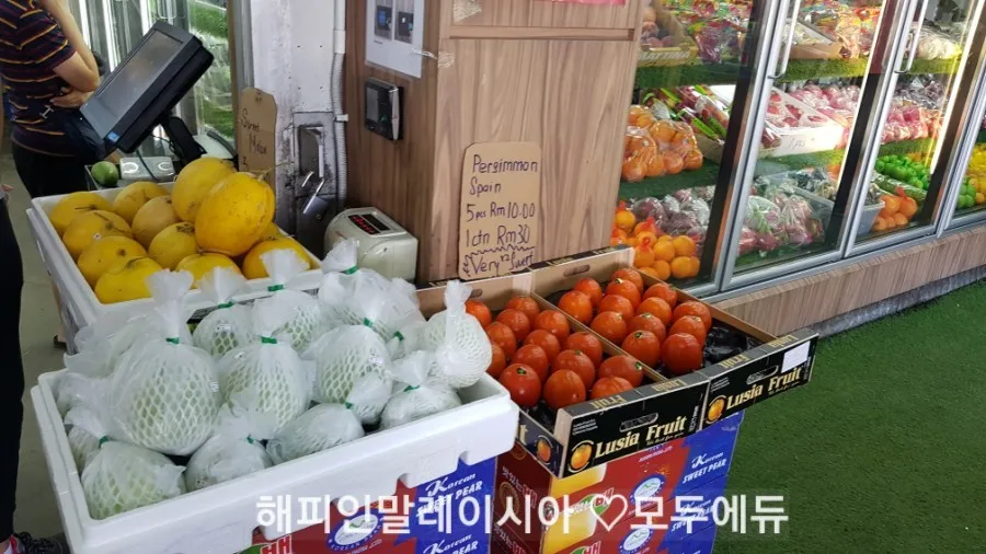 1월캠프 손님들 모시고 슬라양 과일가게 가기 이미지 4