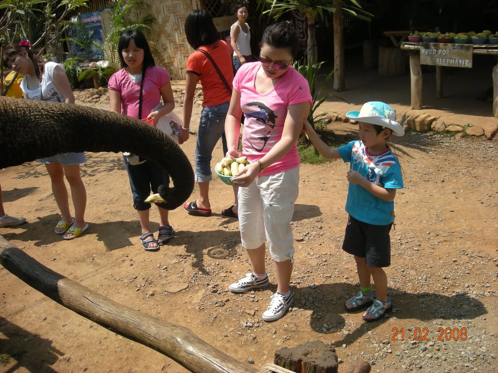 2008년 2월 방콕파타야 여행 이미지 4