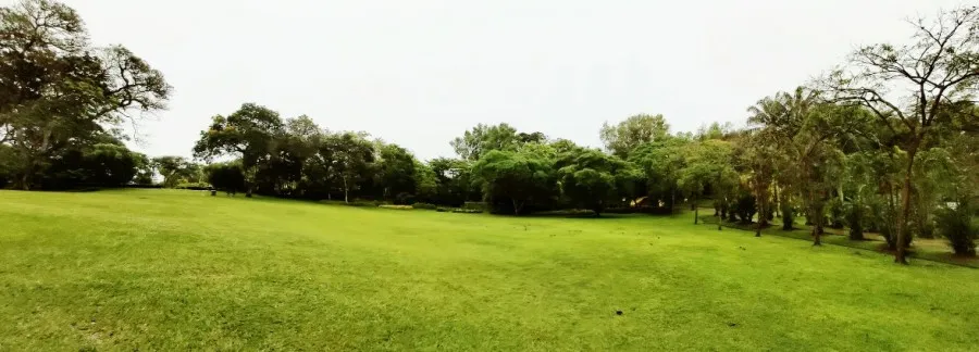 쿠알라룸푸르 공원-Perdana Botanical Gardens 산책 이미지 4