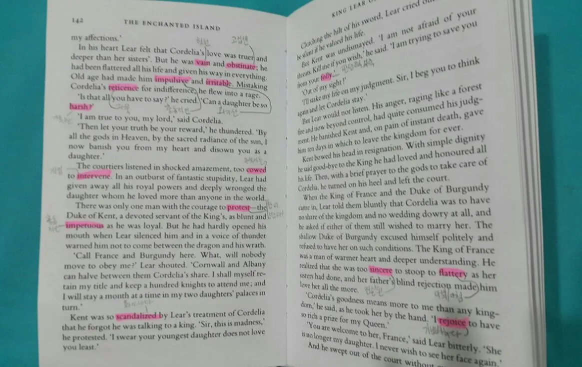 세이폴 year8 1term exam-문학 literature 이미지 4