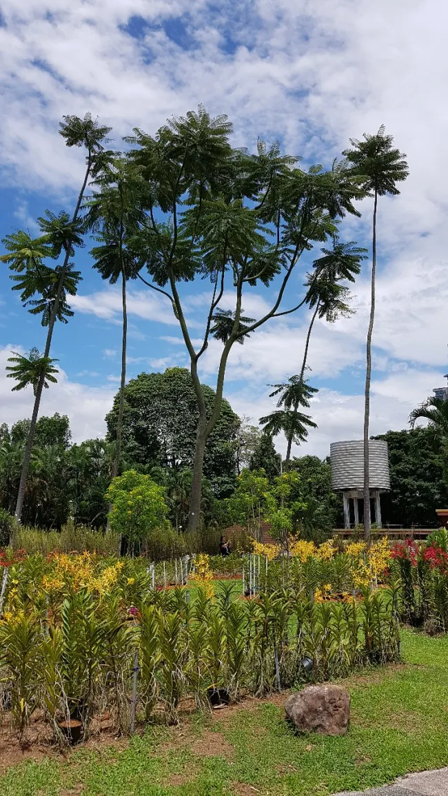 쿠알라룸푸르 보타닉 가든 -Perdana Botanical Gardens 이미지 4