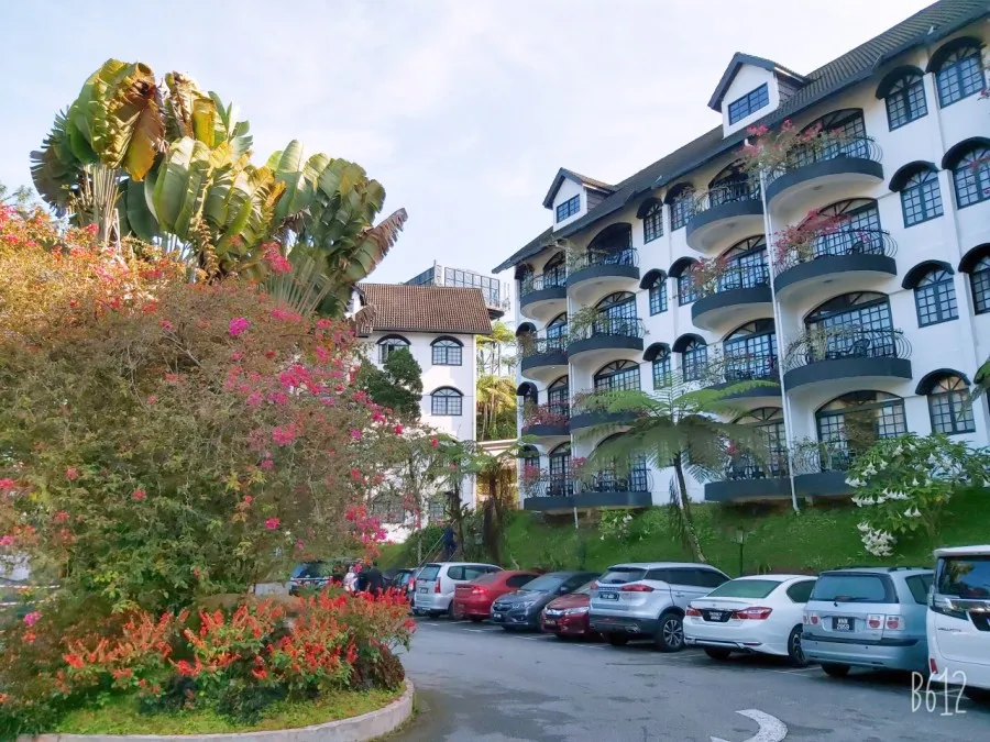 RMCO 와중에 카메론하일랜드 1박2일 여행-Strawberry Park Resort, BOH centre 이미지 5