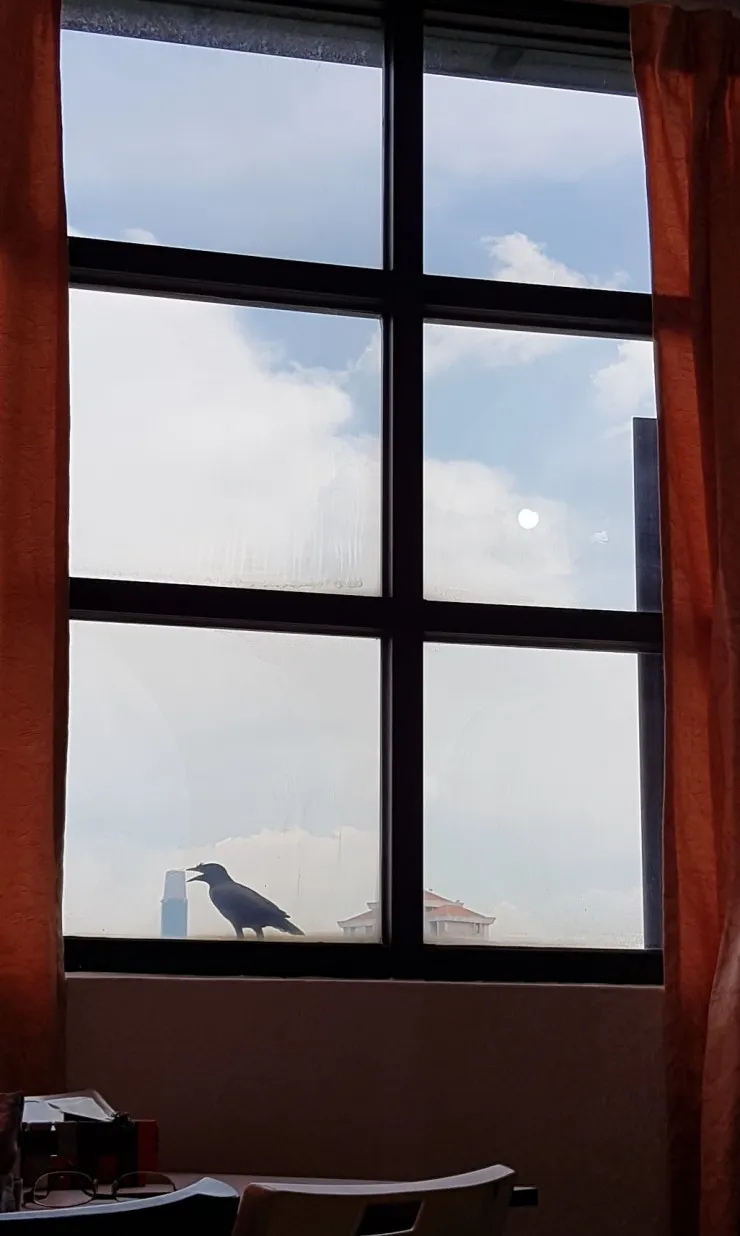 해질녘 모습 이미지 5