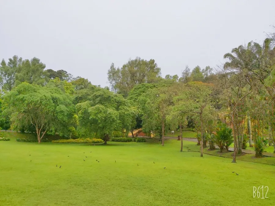 쿠알라룸푸르 공원-Perdana Botanical Gardens 산책 이미지 5