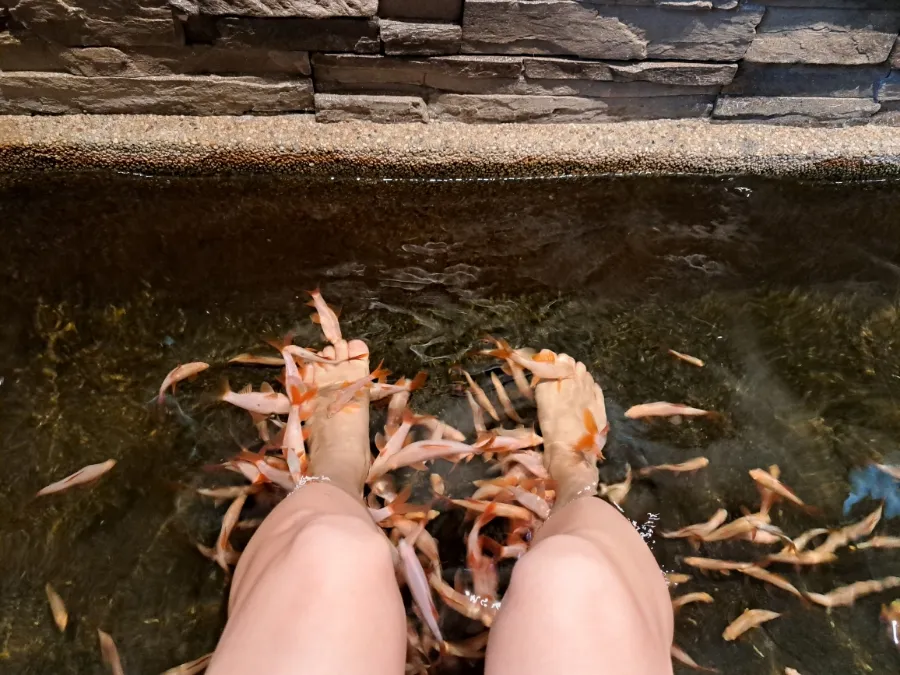 꿀 휴식^^-암팡 HerbaLine SPA MASSAGE 허벌라인 스파맛사지 이미지 5