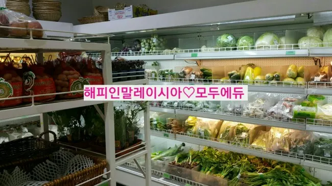 말레이시아한달살기 &영어캠프-ELEC 호텔팩 꼼꼼주변 안내<1> 이미지 5