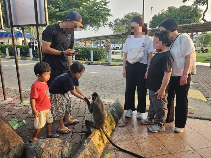 말레이시아 한달살기 모두에듀 주말관광 -반딧불투어,말라카투어 이미지 6