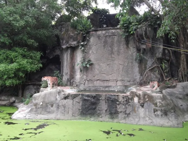 2014.07 Khao Kheow Open Zoo 카오 키여우 오픈 주 이미지 5