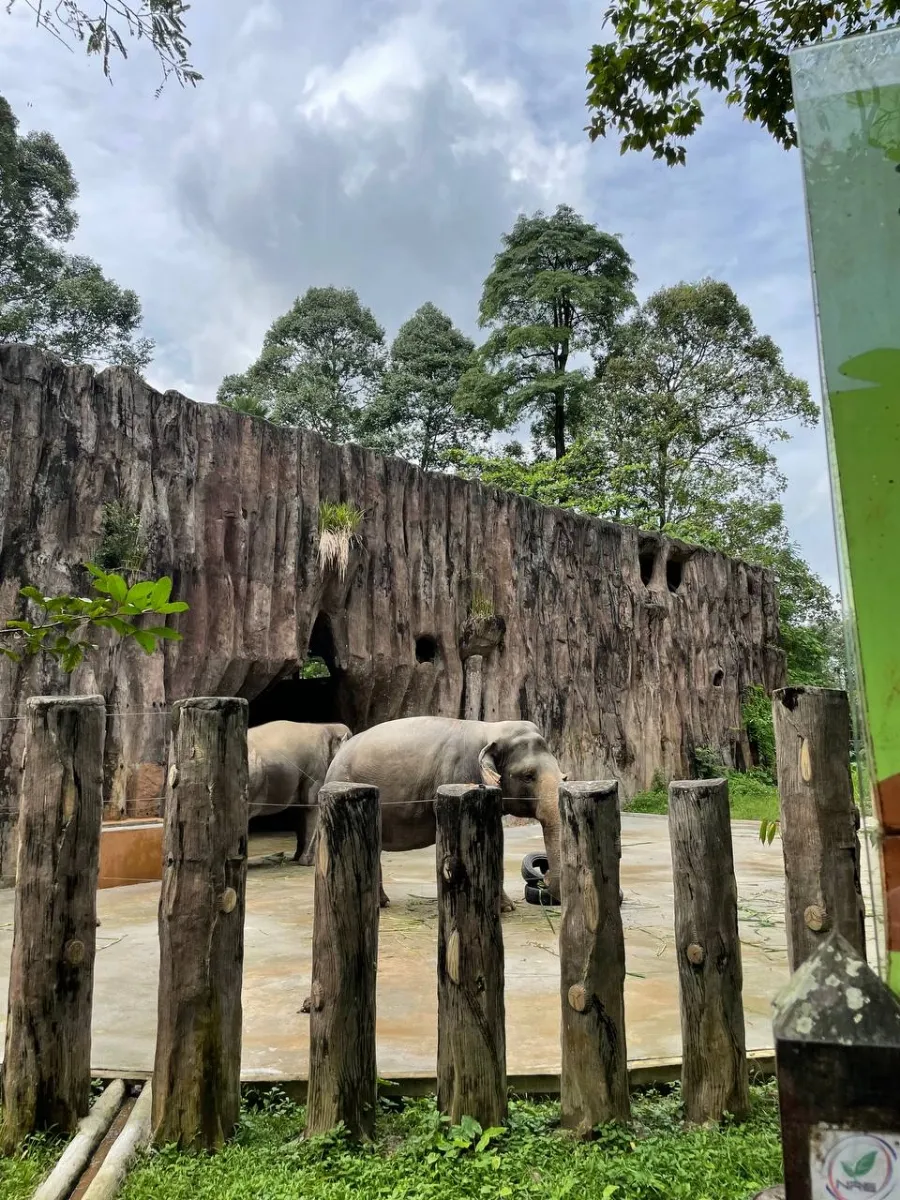 이 나이에 왠 Zoo Negara ㅎㅎ 이미지 6