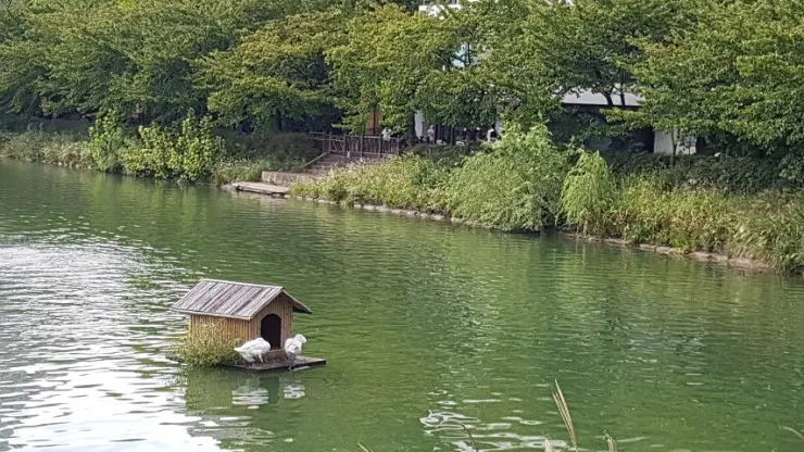 한국 방문 마지막 날을 보내며~ 이미지 7