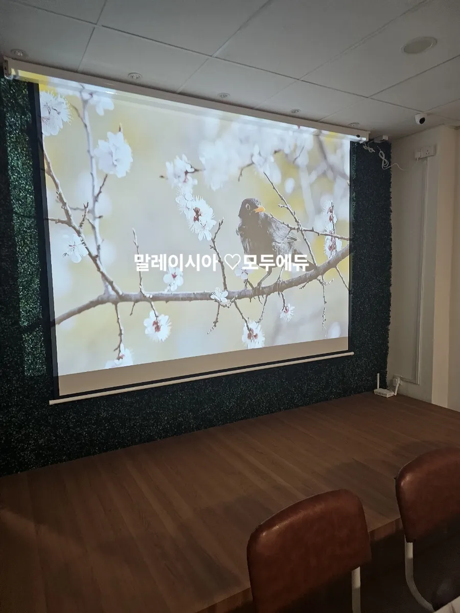 더키즈아카데미 영어기초/파닉스반 수업자료 이미지 7