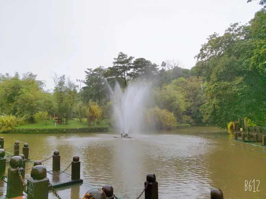 쿠알라룸푸르 공원-Perdana Botanical Gardens 산책 이미지 7