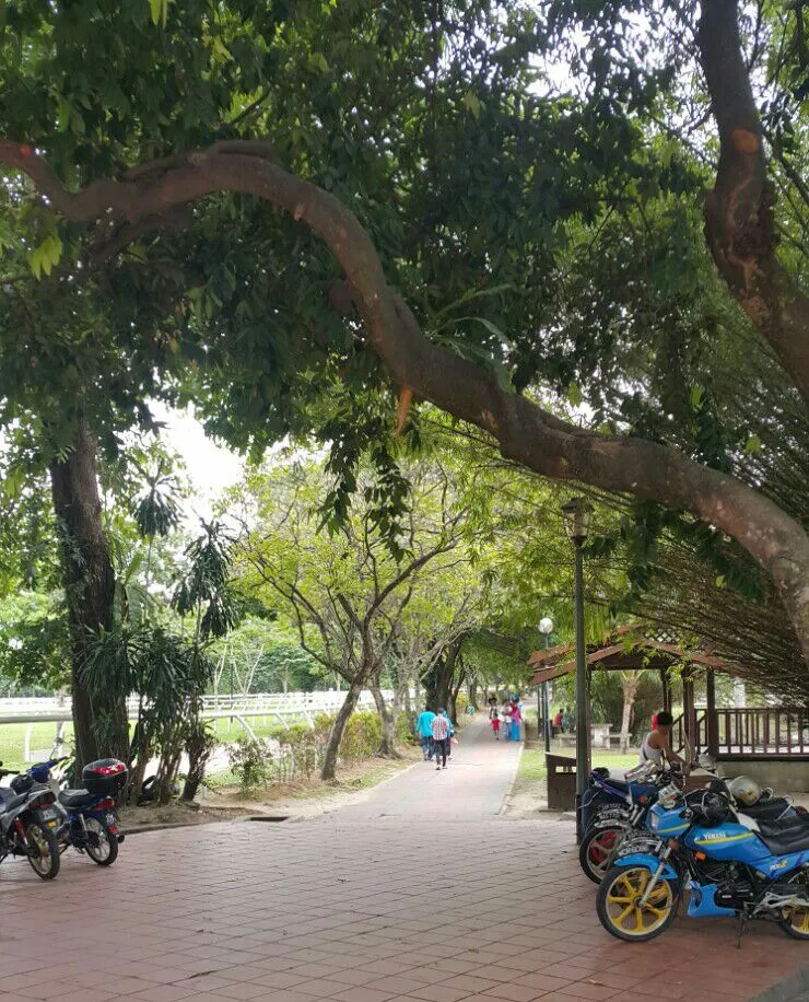 말레이시아 쿠알라룸푸르공원 산책-Titiwangsa park 이미지 8