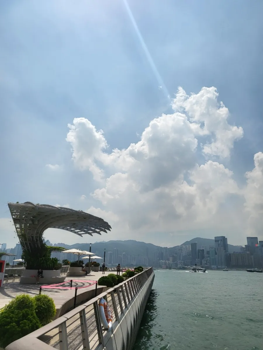 홍콩에서 아들이 보내온 소식~ 이미지 8