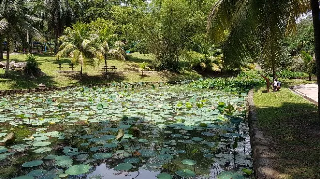 쿠알라룸푸르 보타닉 가든 -Perdana Botanical Gardens 이미지 8
