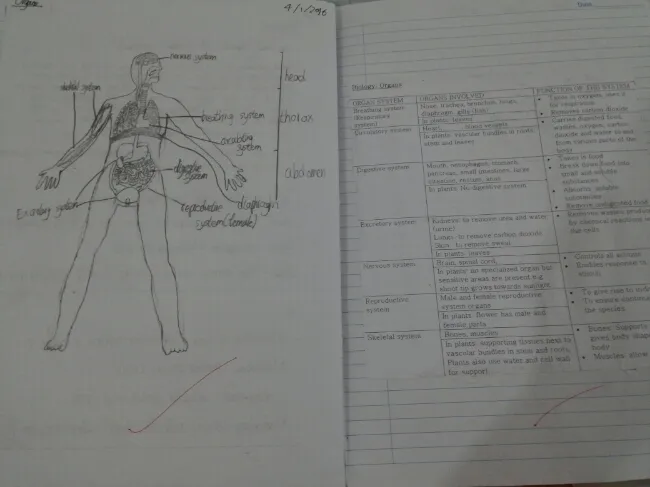 말레이시아 세이폴2텀 Exam 공부-과학 이미지 8