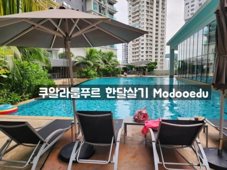 몽키아라 오크스윗+포레스트 팩 이미지 11
