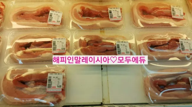 말레이시아한달살기 &영어캠프-ELEC 호텔팩 꼼꼼주변 안내<1> 이미지 11