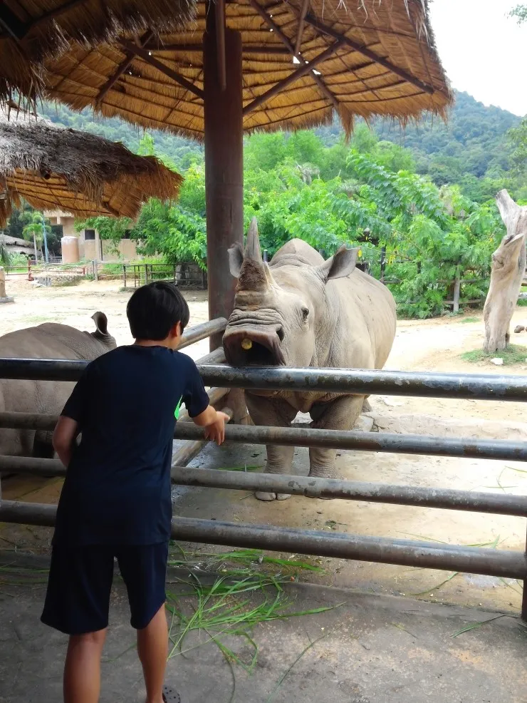 2014.07 Khao Kheow Open Zoo 카오 키여우 오픈 주 이미지 11