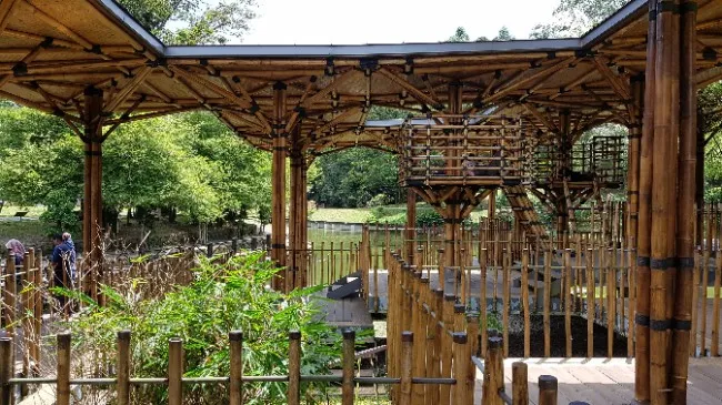 쿠알라룸푸르 보타닉 가든 -Perdana Botanical Gardens 이미지 13