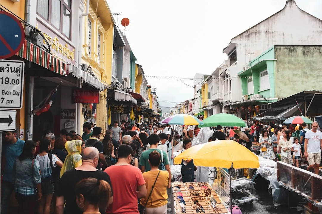 © __menglong, 출처 Unsplash